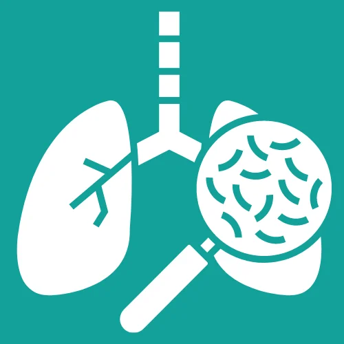 Magnifying glass zooms the lungs that infected to Tuberculosis