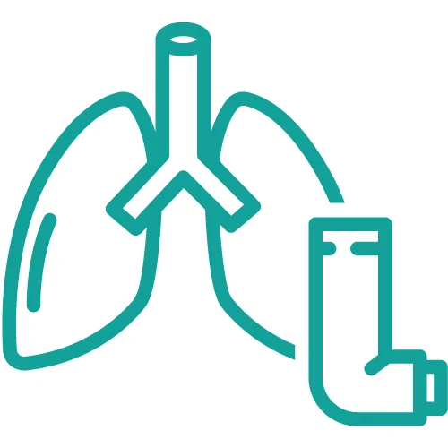 A lungs diagram is showing that lung suffering from Mild Persistent Asthma​